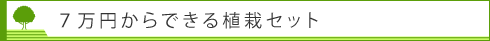 ７万円からできる植栽セットです